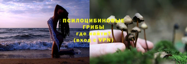 герыч Арсеньев